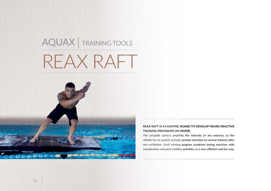 REAX-Raft-LHS